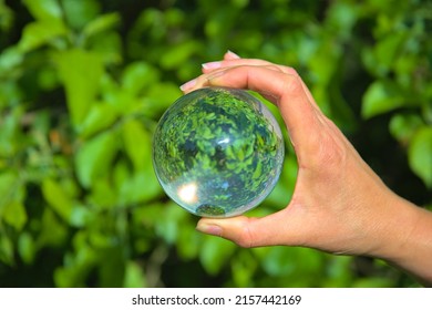 Human Hand Holding Glass Ball