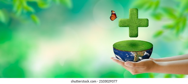 Human hand holding Grass medical cross over half world with grass on. Green background. Healthcare, World health day, World environment day, and Sustain earth Concept. This Elements furnished by NASA.