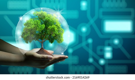Human hand holding growing tree with wireframe globe. Network connection and Circuit Converging point background. Green IT, Nature Technology interaction, and Ecology concept.  - Powered by Shutterstock - Get 15% off with code: PIKWIZARD15