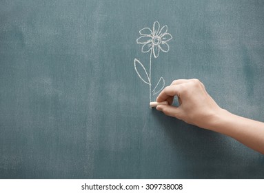 Human Hand Holding Single Flower Drawn On A Blackboard