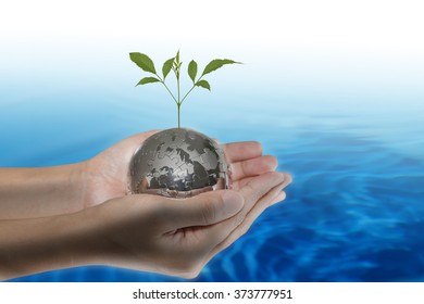 Human Hand Holding Young Plant With A Earth Globe On Rippled Blue Water. Investment, Ecology, World Environment Day, Corporate Social Responsibility (CSR) Concept.