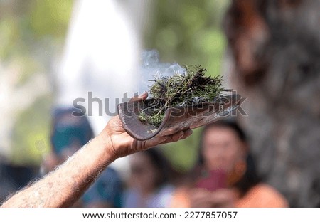 Human hand holds up wooden dish with Australian plants, the smoke ritual rite at a indigenous community event in Australia
