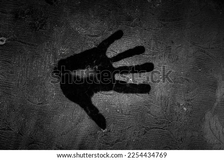 Human hand mark detail on a frozen wooden wall