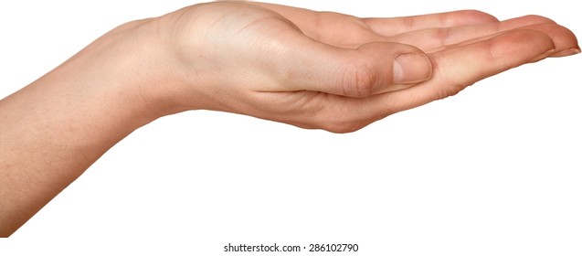 Human Hand Palm Giving Stock Photo 286102790 | Shutterstock