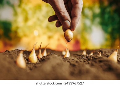 A human hand planting tiny seedlings in freshly tilled dirt on a rural farm - Powered by Shutterstock