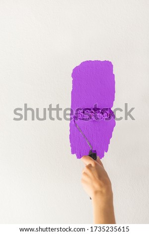 Human hand with a small roller of paint begins to paint a white wall handicraft master craftsman training contrast color sample color test bright purple feminine feminine purple