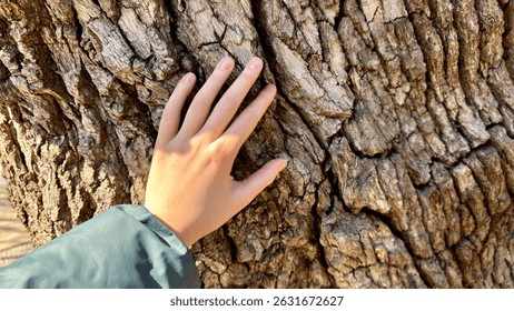 Human hand touch tree trunk. People and nature connection concept. Beautiful forest. Nature environment. Woman care about ecology. Save planet. Wood bark close up. Peace and harmony at eco park.