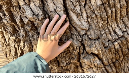 Human hand touch tree trunk. People and nature connection concept. Beautiful forest. Nature environment. Woman care about ecology. Save planet. Wood bark close up. Peace and harmony at eco park.
