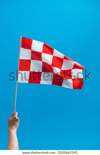 Human hand\
waving checkered flag on blue\
background.