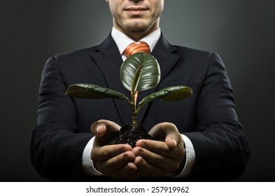 human hands  close  with  scion  rubber plant, business concept - Shutterstock ID 257919962