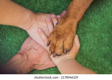 Human Hands And Dog Paw As A Team. Fight For Animal Rights, Help Animals