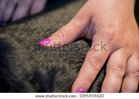 Similar – a woman and a child show their nail polish