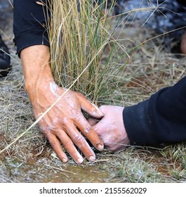 Human hands with grass, the fire ritual rite at a community event in Australia, 