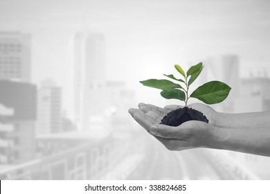 Human Hands Holding Growing Plant Over Blur Cityscape For Save And Responsibility Concept.