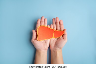 Human hands holding healthy liver shape made from paper on light blue background. - Shutterstock ID 2044066589
