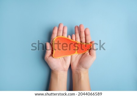Human hands holding healthy liver shape made from paper on light blue background.
