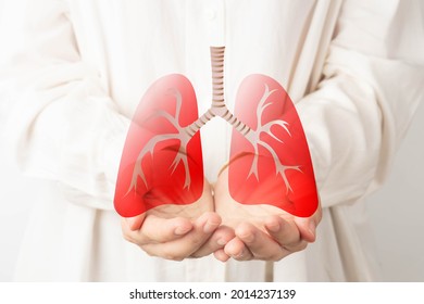 Human hands holding lung organ symbol. Awareness of lung cancer, pneumonia, asthma, COPD, pulmonary hypertension, world no tobacco day and eco air pollution. Respiratory and chest concept.