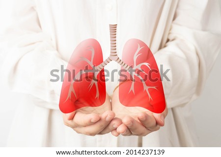 Human hands holding lung organ symbol. Awareness of lung cancer, pneumonia, asthma, COPD, pulmonary hypertension, world no tobacco day and eco air pollution. Respiratory and chest concept.