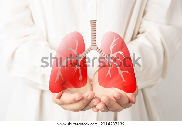 Human hands holding lung organ symbol. Awareness
of lung cancer, pneumonia, asthma, COPD, pulmonary hypertension,
world no tobacco day and eco air pollution. Respiratory and chest
concept.