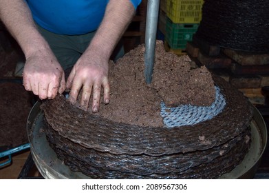 human hands in the olive oil extraction process - Powered by Shutterstock