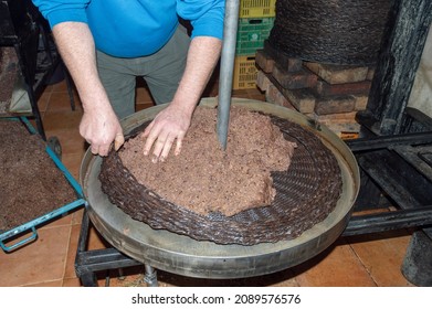 human hands in the olive oil extraction process - Powered by Shutterstock