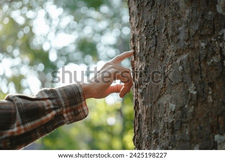 Human hands touching tree green forest in tropical woods, hug tree or protect environment, co2, net zero concept, pollution or climate change, earth day