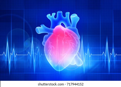 The human heart. Digital illustration on a blue background