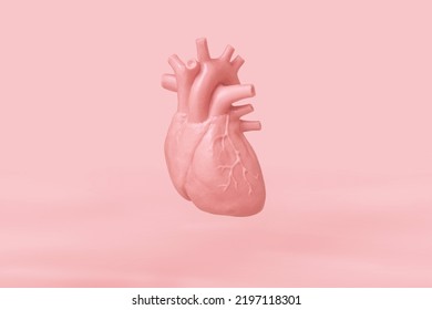 Human Heart Model Isolated On Pink Background Close Up. The Concept Of Cardiology, Health Care, Human Organ Transplant