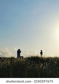human interaction in the fields when the sunset