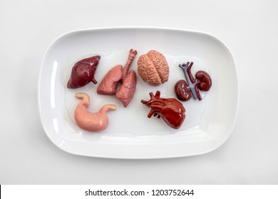 Human Internal Organs On White Plate Ready For Organ Transplant.