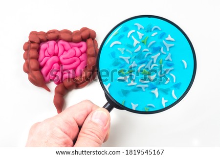 Human intestinal health. Microorganisms under magnifying glass. Concept - harmful and beneficial microorganisms in  human intestinal. Micravlora of gastrointestinal tract. Study of microflora of body