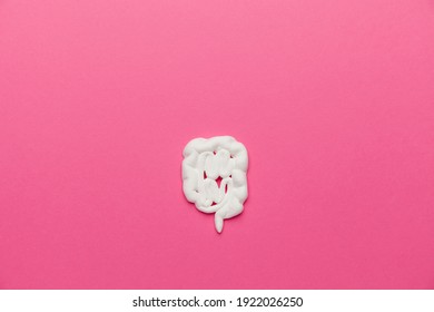 Human Intestine Model On A Pink Background. Digestive Upset. Space For Text.