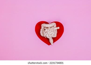 human intestines organ on heart shape background, health intestines concern awareness , take care health, healthy intestine flora gut - Shutterstock ID 2231734001