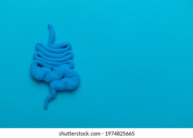 Human Intestines With Pills On Blue. Diarrhea And Constipation. Stitches And Stomach Discomfort. Copy Space For Text.