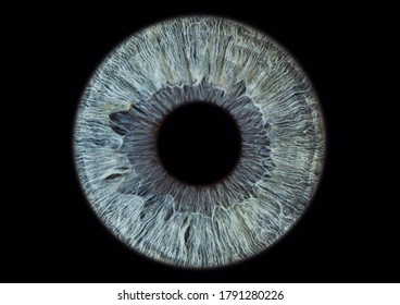 Human iris blue colored placed to black background. 