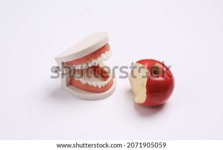 Human jaw model with bitten red apple on white background
