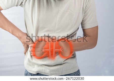 Human kidney failure.