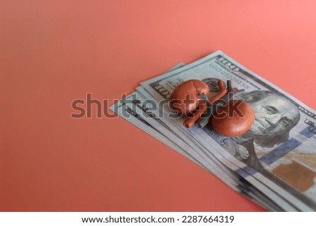 Human kidney model and money with copy space. Organ trade, organ trafficking and expense concept