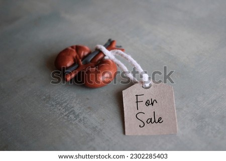 Human kidney with tag FOR SALE. Organ trafficking, organ transplant and illegal trade in human organ concept