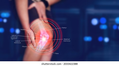 人体 解剖図 の写真素材 画像 写真 Shutterstock