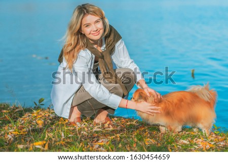 Human with a little golden dog, concept of friendship doggy and girl