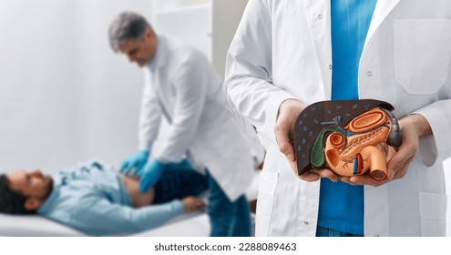 Human liver disease, diagnosis and treatment. Doctor gastroenterologist showing liver anatomical model for treatment hepatitis, cirrhosis and cancer while examining patient
