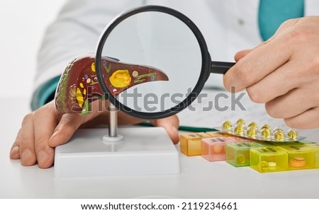 Human liver disease, diagnosis and liver treatment. Doctor showing liver anatomical model for treatment hepatitis, cirrhosis and cancer
