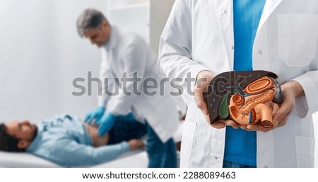 Human liver disease, diagnosis and treatment. Doctor gastroenterologist showing liver anatomical model for treatment hepatitis, cirrhosis and cancer while examining patient