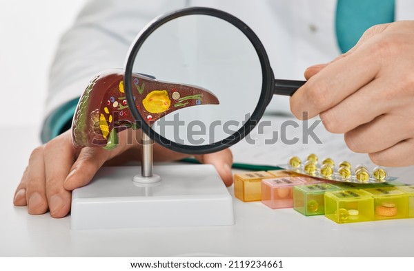 Human liver disease, diagnosis and liver\
treatment. Doctor showing liver anatomical model for treatment\
hepatitis, cirrhosis and\
cancer