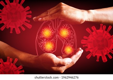 Human Lung. Lungs Between Two Palms Lung Damage From The Corona Virus Covid 19. The Technology Concept.