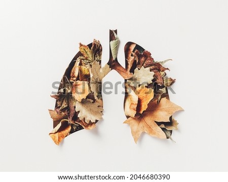 Human lungs made with fall dry leaves on white background. Minimal coronavirus or pneumonia concept. Green, world health or environment day and ecology concept. Autumn fashion minimal art. Flat lay.
