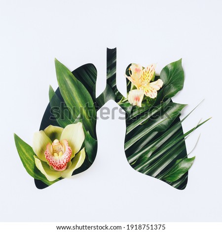 Similar – Image, Stock Photo Palm leaves and tropical flowers frame on white