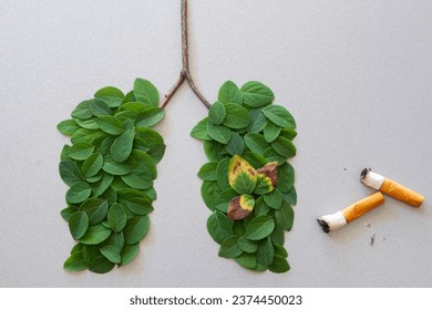 Human lungs symbol made with green leaves with cigarettes, harmful effects of smoking, concept of respiratory diseases