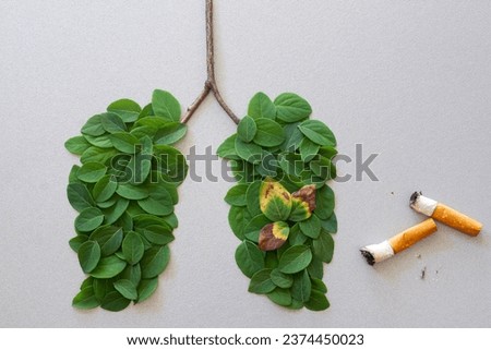 Human lungs symbol made with green leaves with cigarettes, harmful effects of smoking, concept of respiratory diseases